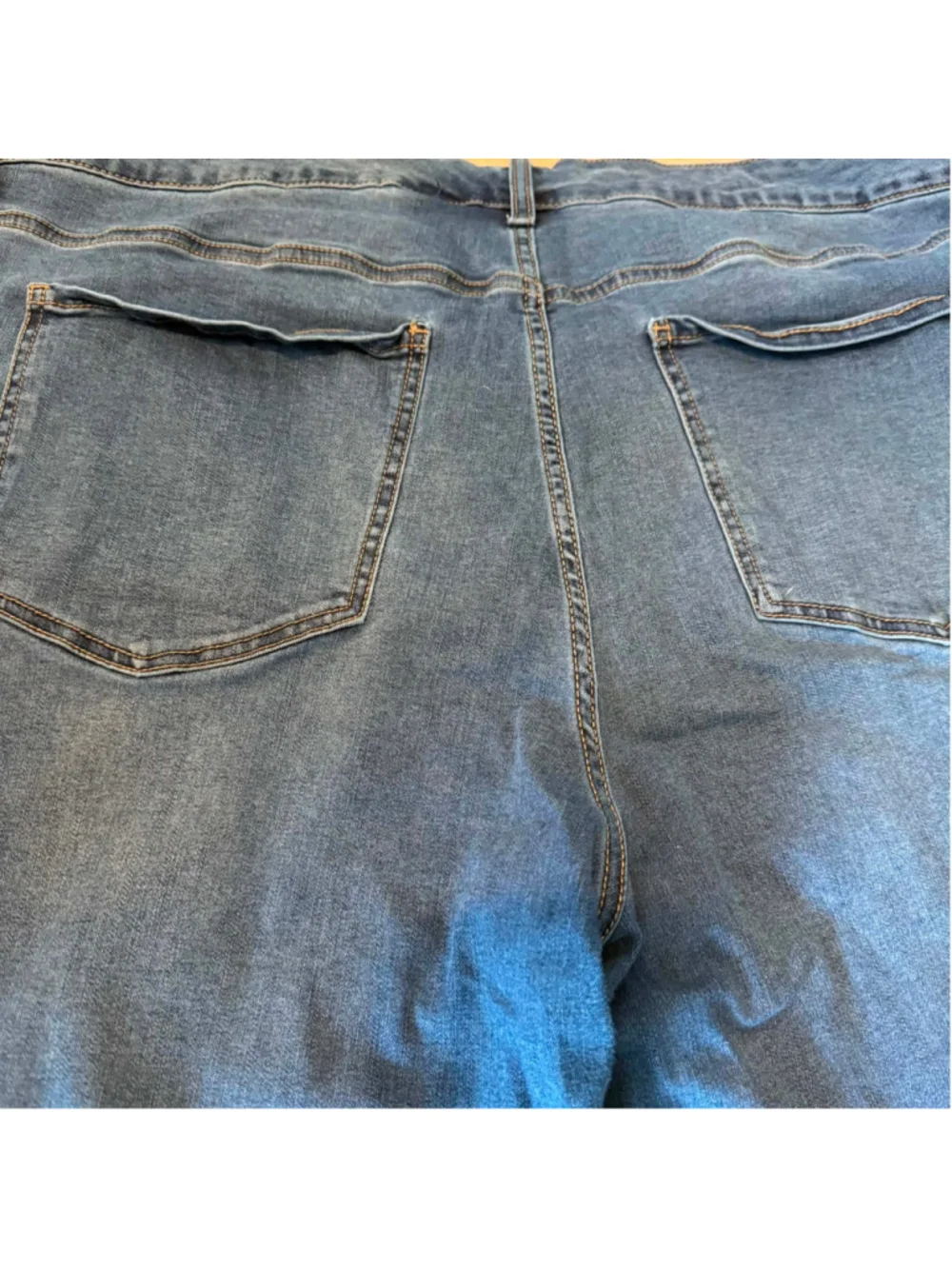 Women's Terra & Sky Skinny Jeans Blue Size 22W